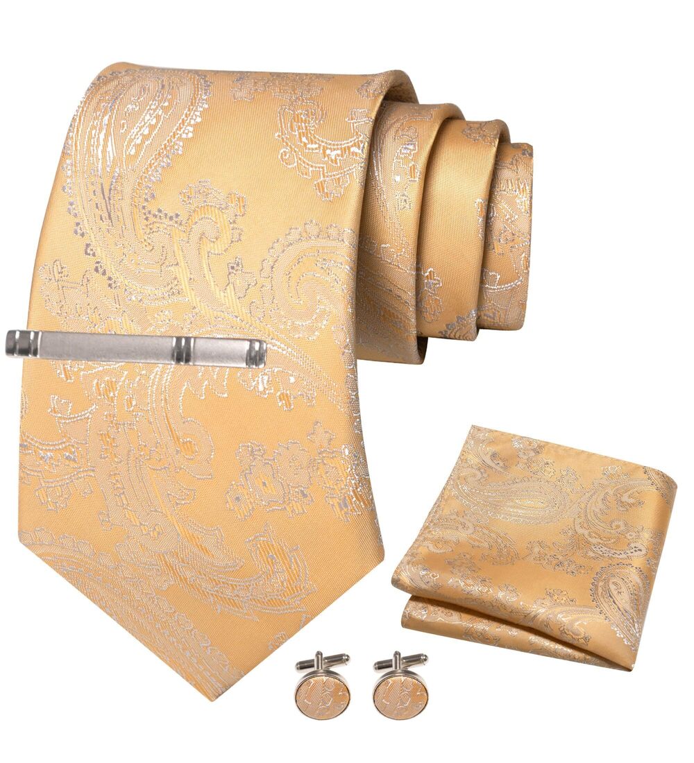 7073 Champagne Gold Paisley Tie Necktie Pocket Square with Clip